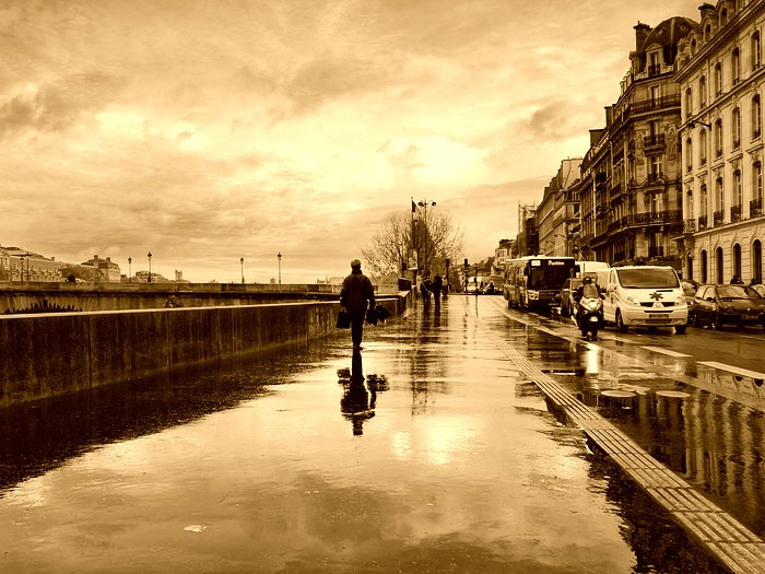 Сепія Сепія